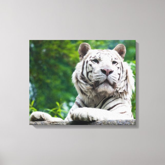 Canvas Leinwanddruck (Vorderseite)