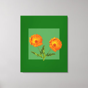Canvas Print - Calendula Leinwanddruck