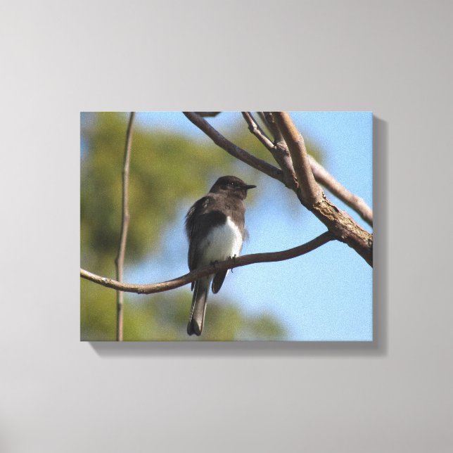 Canvas print - flycatcher in tree leinwanddruck (Vorderseite)