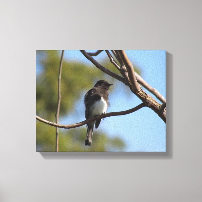 Canvas print - flycatcher in tree leinwanddruck (Vorderseite)