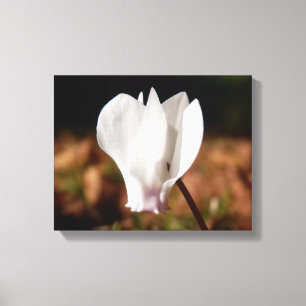Canvas Print Leinwanddruck