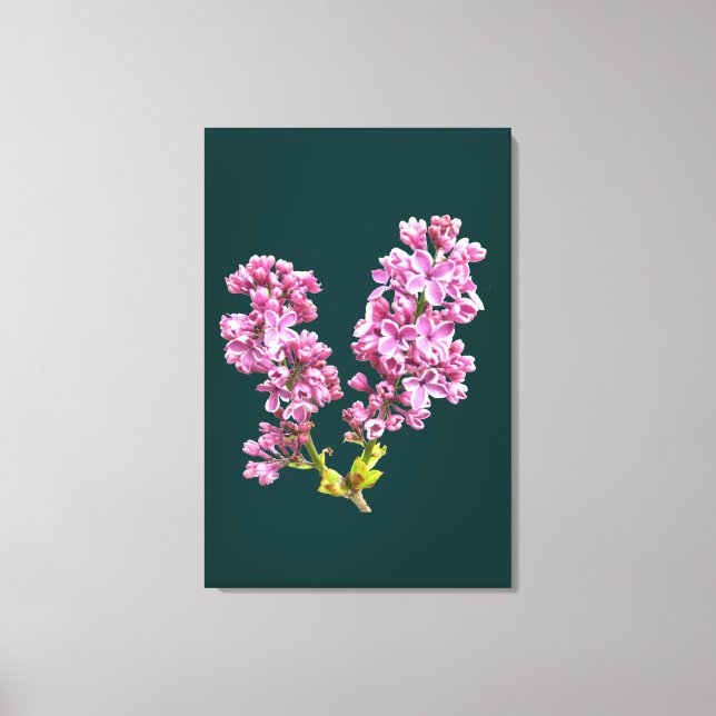 Canvas Print - Lilac Blossoms Leinwanddruck (Vorderseite)