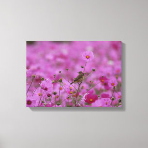 Canvas Print - Morning Glory Leinwanddruck