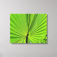 Canvas Print - Palm Frontend