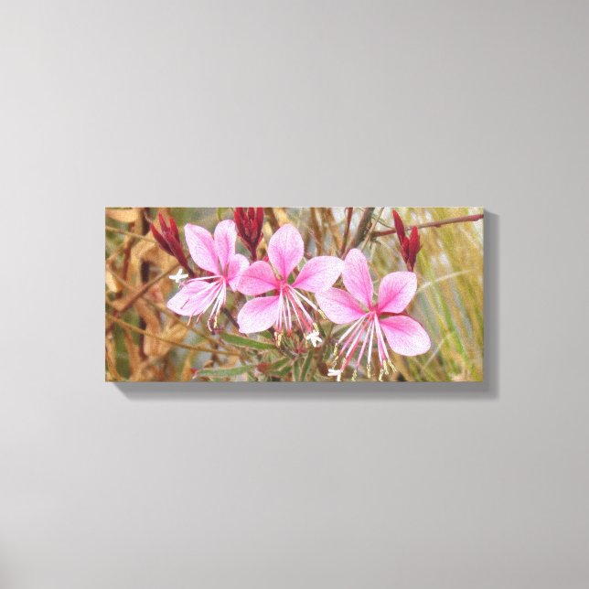 Canvas print - Rosa Guara Leinwanddruck (Vorderseite)