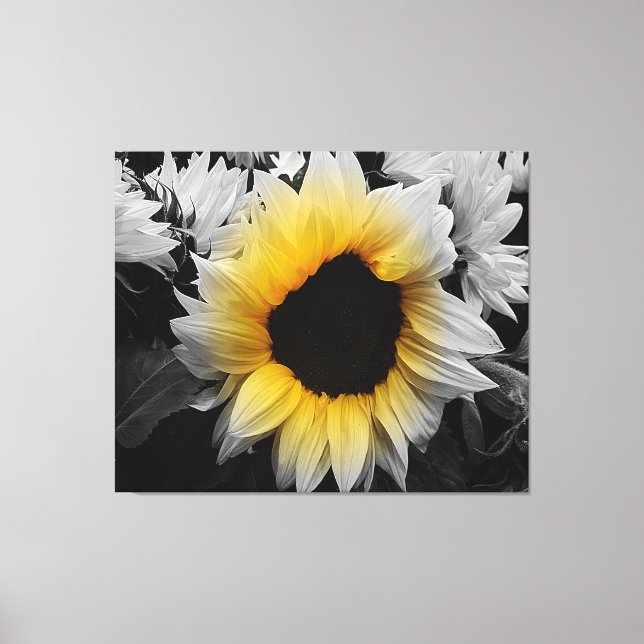 Canvas Print - Sonnenblumen Leinwanddruck (Vorderseite)