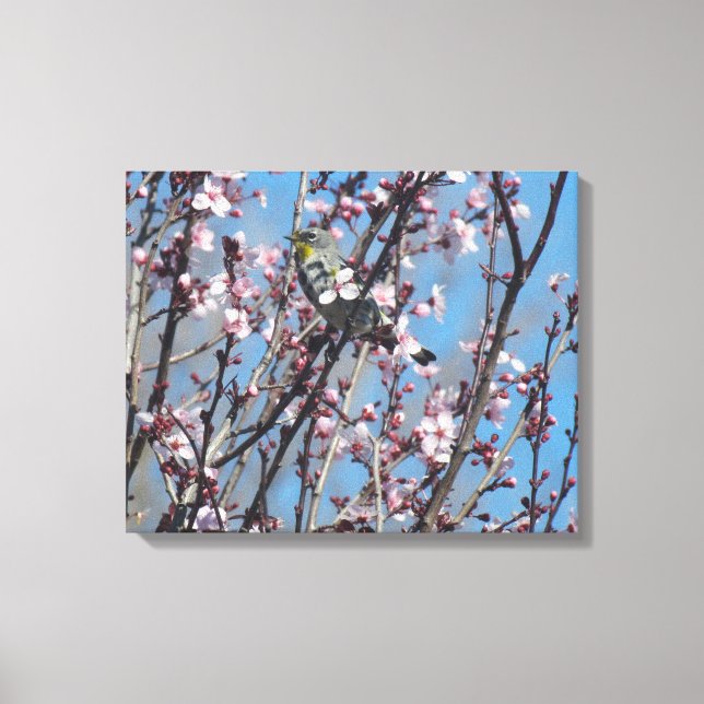 Canvas Print - Springtime Sparrow Leinwanddruck (Vorderseite)