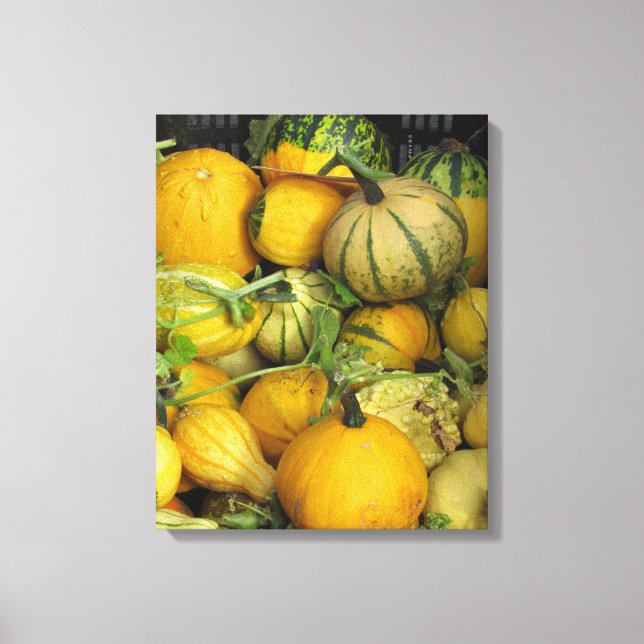 Canvas Print - Summer Squash 1 Leinwanddruck (Vorderseite)
