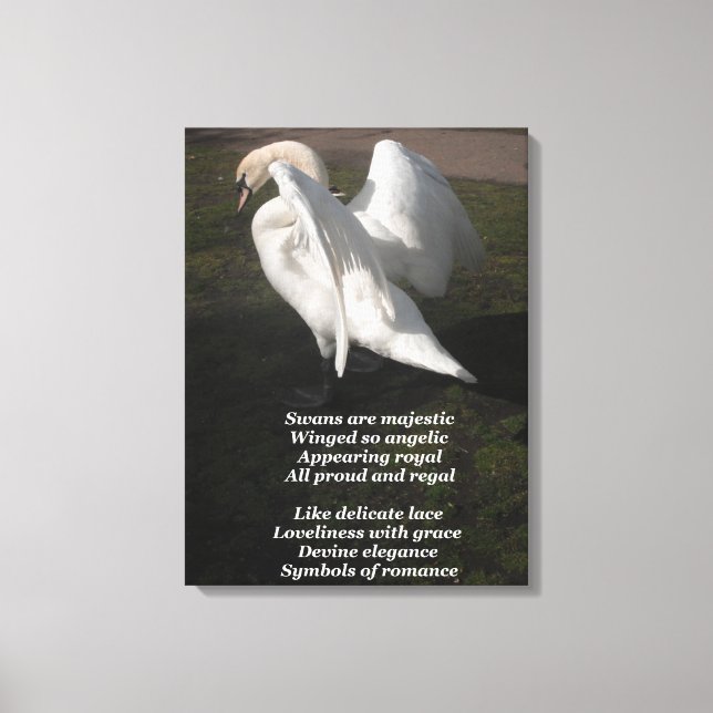 Canvas Print Swans werden von Ladee Basset großart Leinwanddruck (Vorderseite)