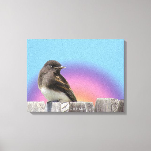 Canvas print - Vögel auf Zaun Leinwanddruck (Vorderseite)