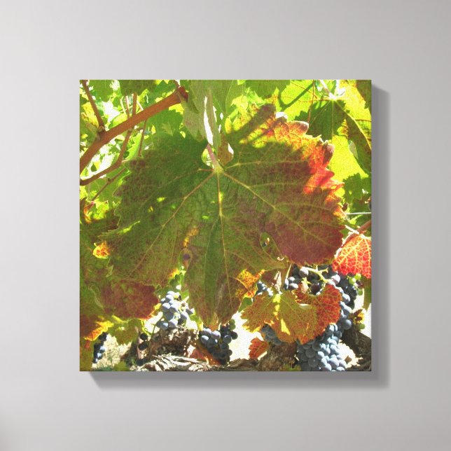 Canvas print - Weinreben Leinwanddruck (Vorderseite)