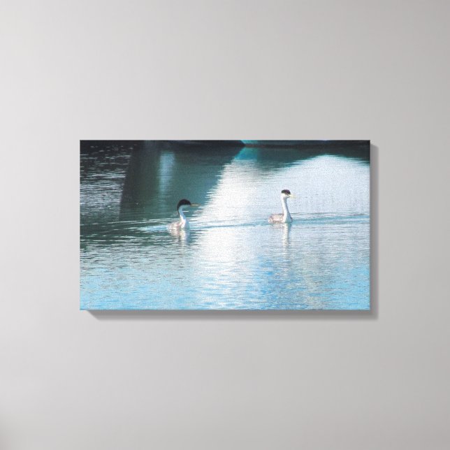 Canvas Print - Western Grebe in Harbour Leinwanddruck (Vorderseite)