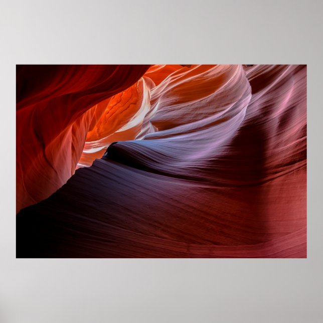 Canyon Antelope Poster (Vorne)