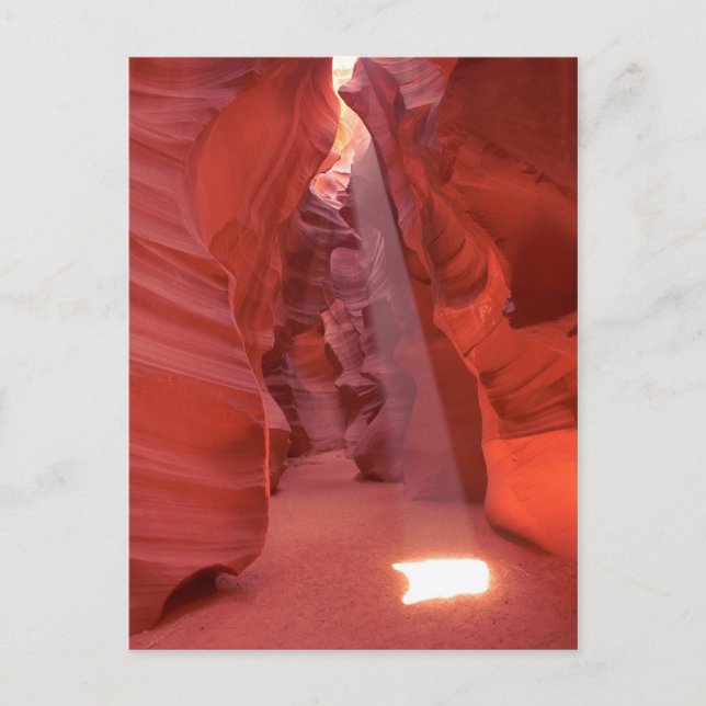 Canyon, Arizona Postkarte (Vorderseite)