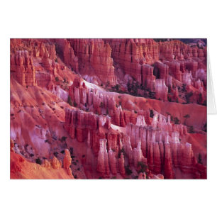 Canyon Bryce, Utah, États-Unis