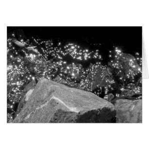 Canyon de Blackwood, le lac Tahoe