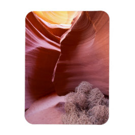 Canyon in vielen Farben Magnet