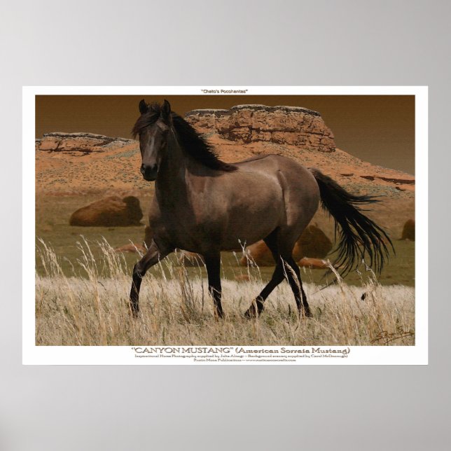 CANYON MUSTANG Reitschutz Kunst drucken Poster (Vorne)