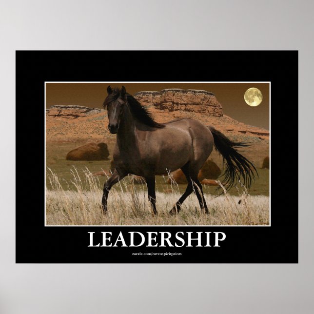 CANYON MUSTANG Reitschutz Kunst drucken Poster (Vorne)