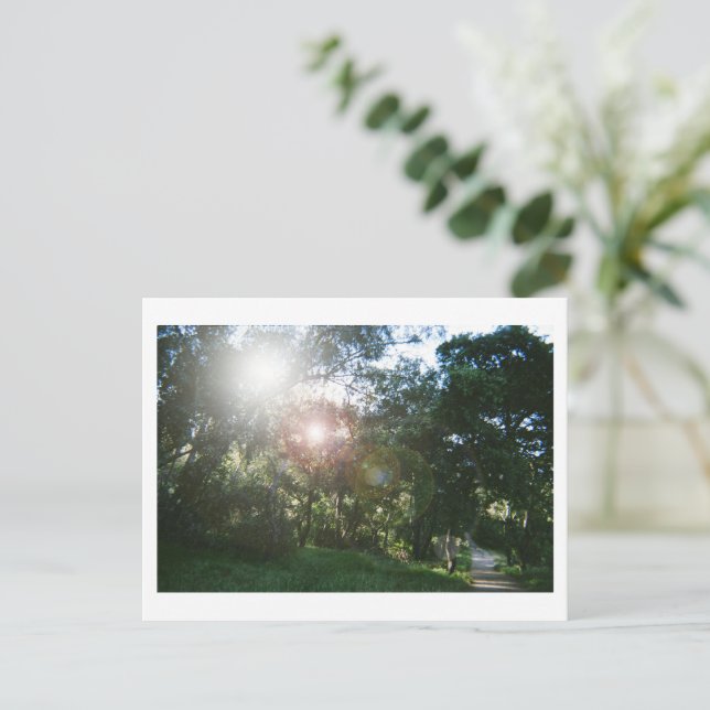 Canyon Trail Postkarte (Stehend Vorderseite)