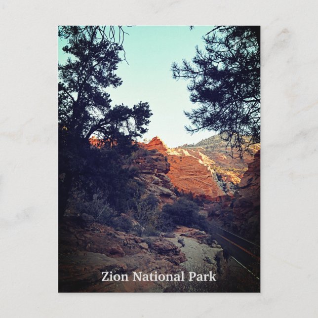 Canyon Trail Zion Nationalpark, Utah Postkarte (Vorderseite)