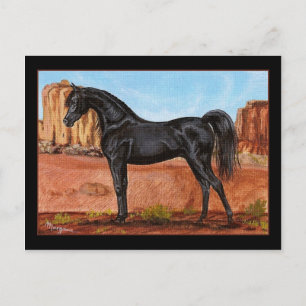 Canyon Wonder Arabian Pferd Postkarte
