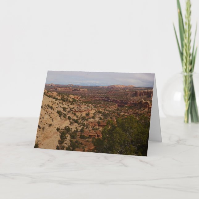 Canyonlands Aussicht vom Neck Springs Trail Karte (Vorderseite)