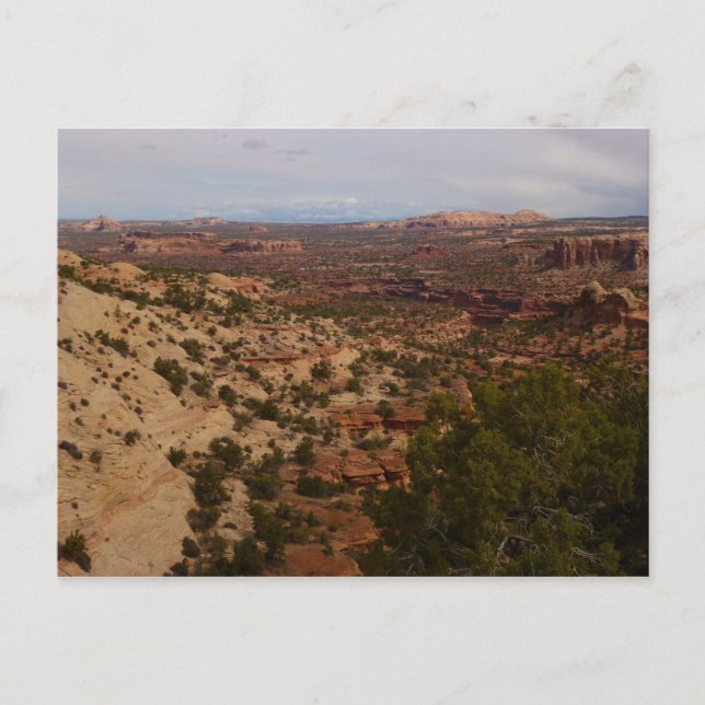 Canyonlands Aussicht vom Neck Springs Trail Postkarte (Vorderseite)