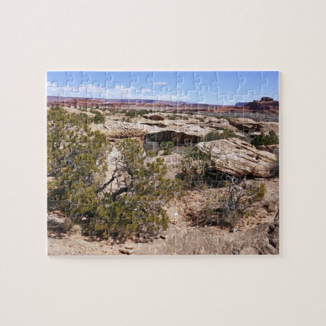 Canyonlands Blick vom Cave Springs Trail (Horizontal)