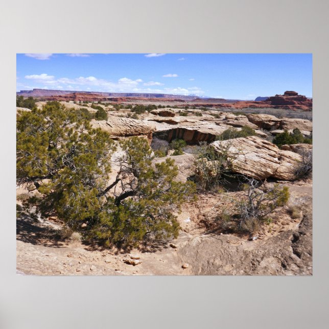 Canyonlands Blick vom Cave Springs Trail Poster (Vorne)