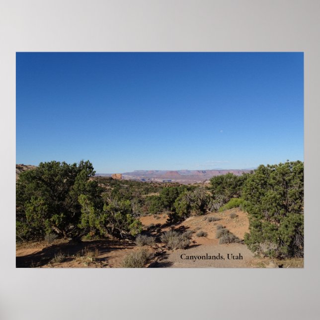 Canyonlands, Utah Poster (Vorne)