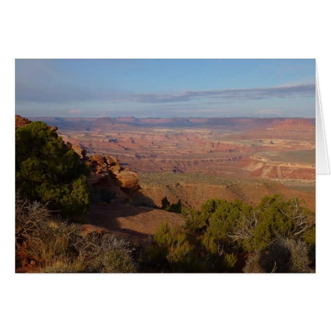Canyonlands View von Grand View Point Trail (Vorderseite (Horizontal))