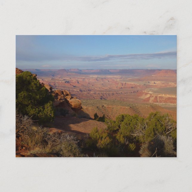 Canyonlands View von Grand View Point Trail Postkarte (Vorderseite)