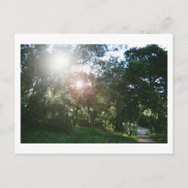 Canyons Trail Postkarte