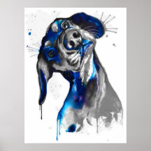 Cão em Azul