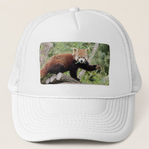 Cap Foto roter Panda, Tiere 0003. Truckerkappe