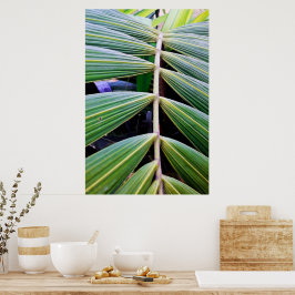 capa de pamonha poster