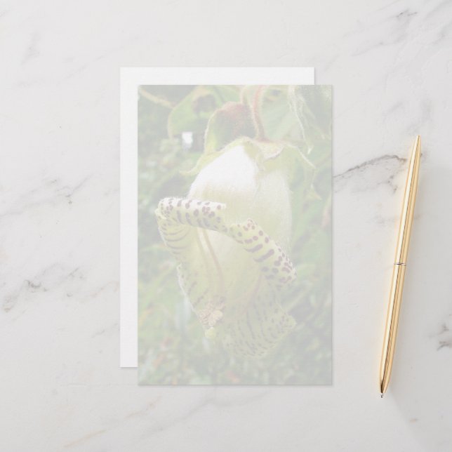 Capanea Grandiflora Briefpapier (Vorderseite/Rückseite Beispiel)