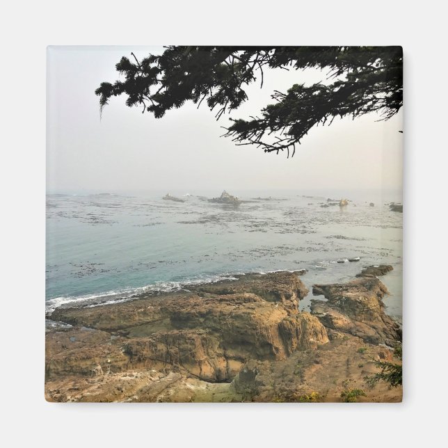 Cape Arago State Park, Oregon Coast Magnet (Vorne)