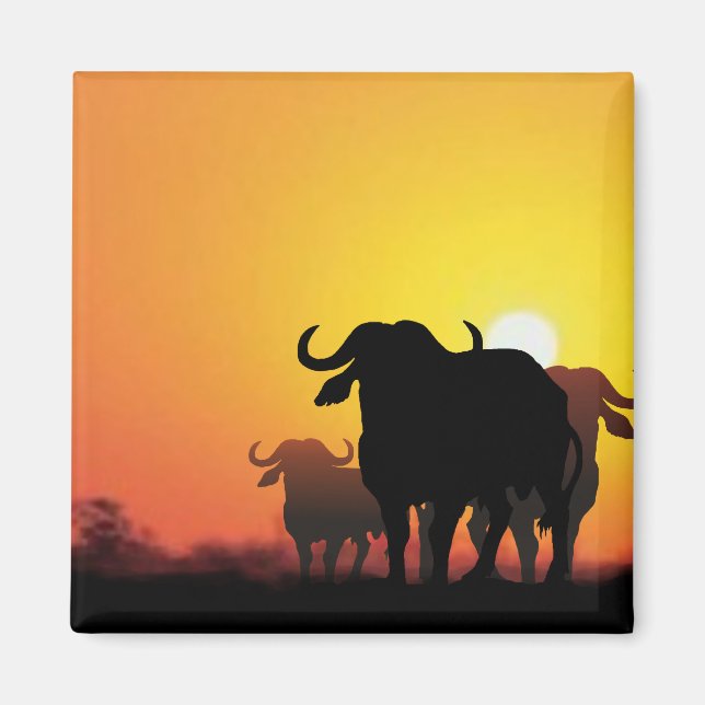 Cape Buffalo Magnet (Vorne)