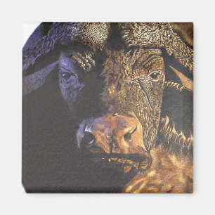 Cape Buffalo Magnet