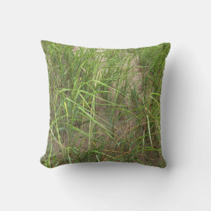Cape Cod Beach Grass Coussin extérieur
