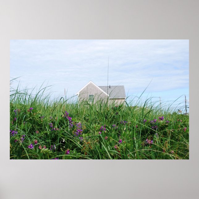 Cape Cod Beach House Poster (Vorne)