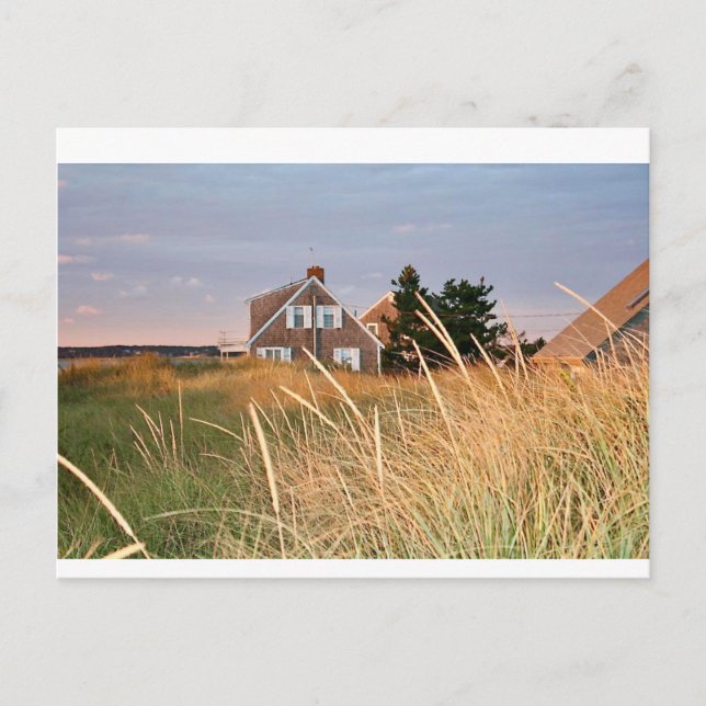 Cape Cod Beach House Postkarte (Vorderseite)