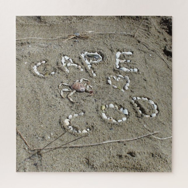 Cape Cod Beach Muscheln (Vertikal)