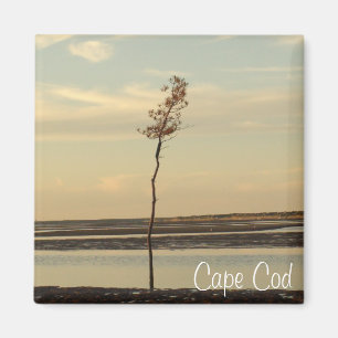 Cape Cod Beach Relaxen Sunset Foto Magnet