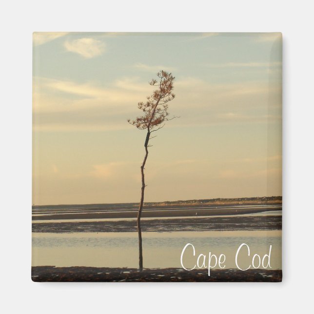 Cape Cod Beach Relaxen Sunset Foto Magnet (Vorne)