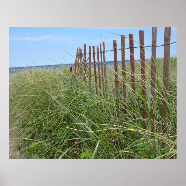 Cape Cod Dunes Poster (Vorne)