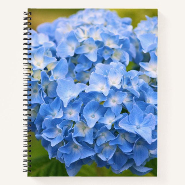 CAPE COD HYDRANGEA NOTEBOOK NOTIZBUCH (Vorderseite)