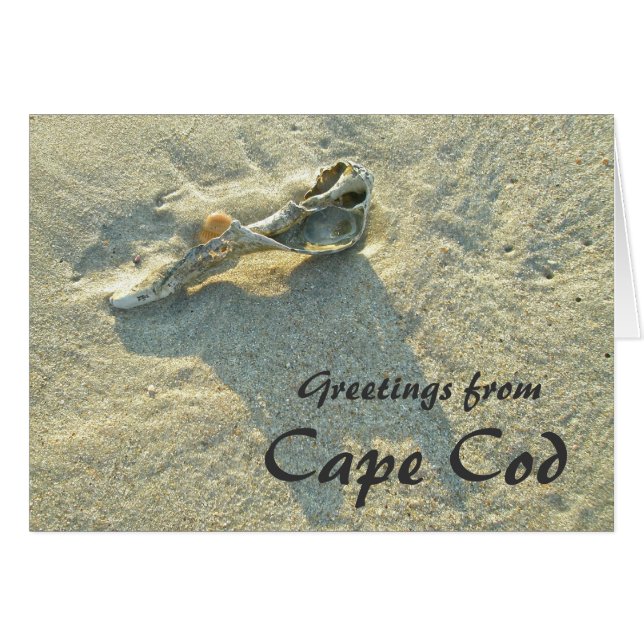 Cape Cod Massachusetts - Muschel & Surf (Vorderseite (Horizontal))